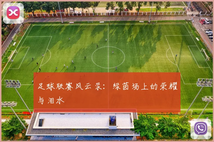 足球联赛风云录:绿茵场上的荣耀与泪水